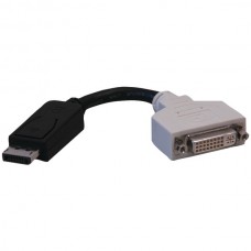 DisplayPort(TM) to DVI Cable Adapter/Converter (6